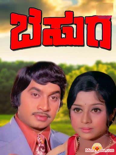 Poster of Besuge (1976)